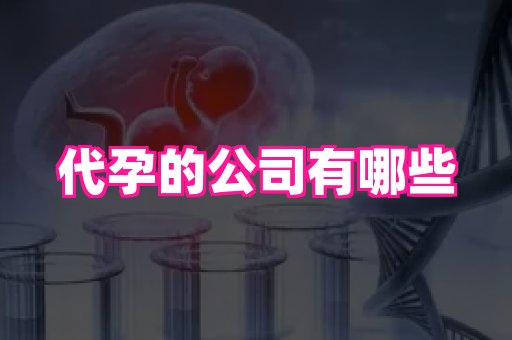 杭州助孕网站 1